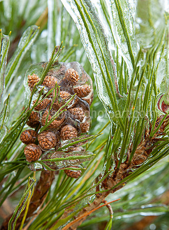 Winter Story No 33