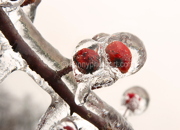 Winter Story No 32