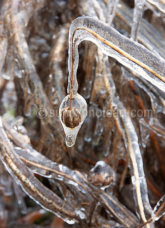 Winter Story No 34