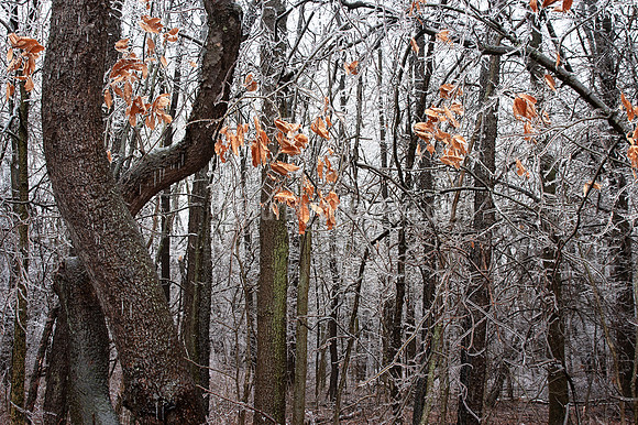 Winter Story No 35