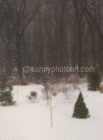 Winter Screen