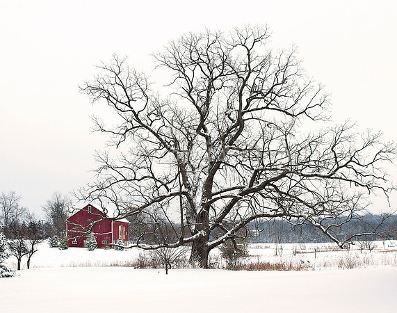 Winter Story  No 9