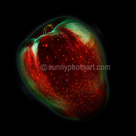 Edible Universe  No 2