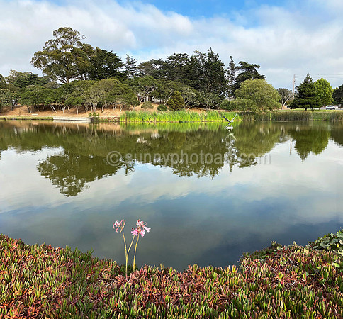 El Estero Lake in Late August, Monterey, CA
