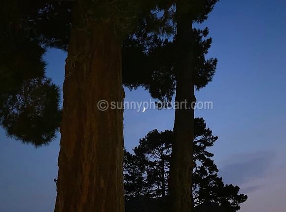Crescent Moon