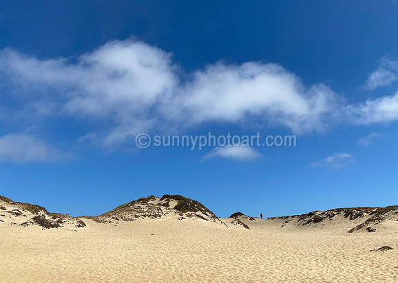 Dune Walk, Marina, CA