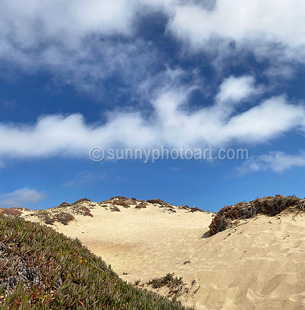 Sand Dune, Marina, CA