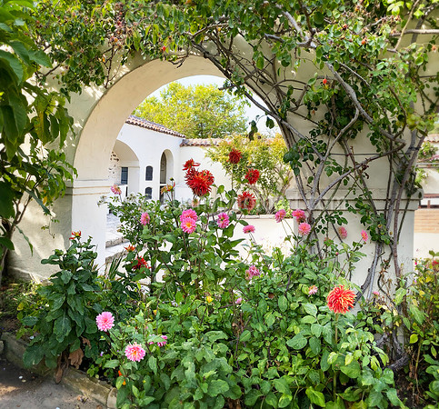 Late Summer Garden in Pacific House No 2, Monterey, CA