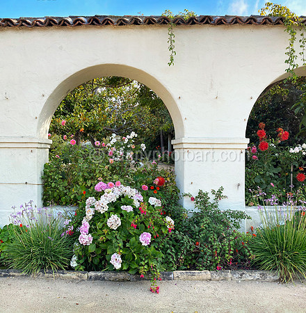 Late Summer Garden in Pacific House, Monterey, CA