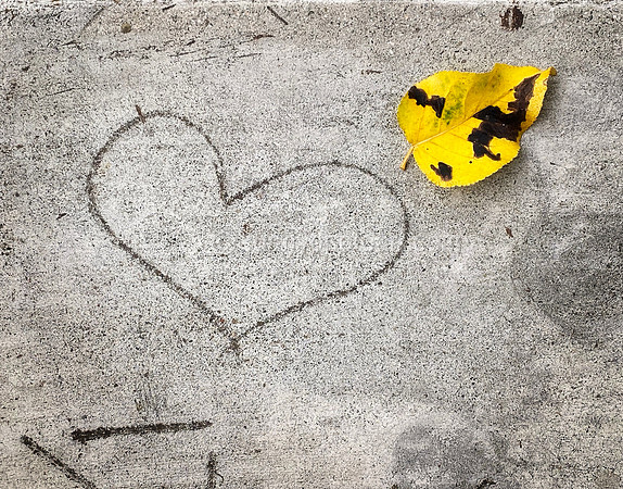 Story in Concrete