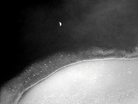 Moon over Icy Pond