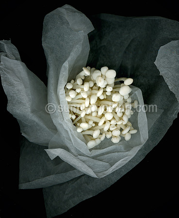 Enoki