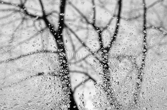 Jewels of January