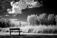 August Bench