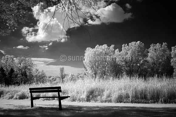 August Bench