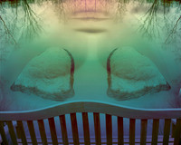 Lakeside Bench