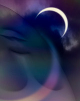 Moonlit Night