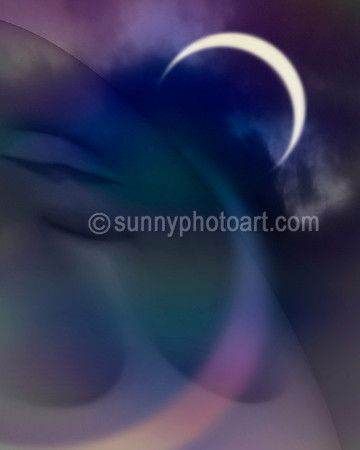 Moonlit Night