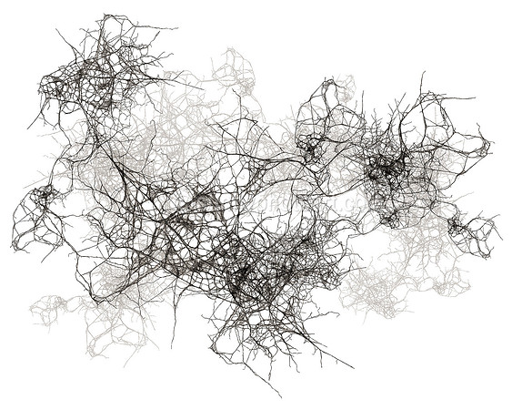 Field Study  No. 72