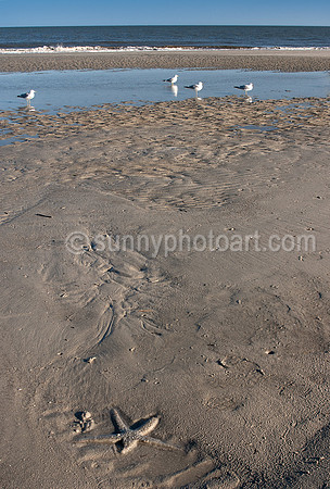 Beach Story No. 2