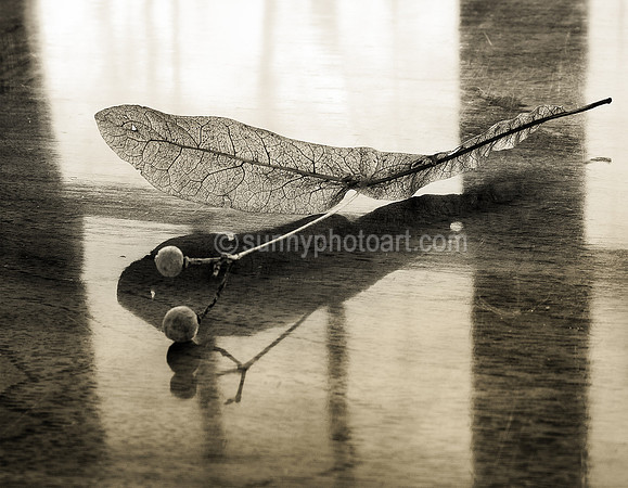 Autumnal  No. 1