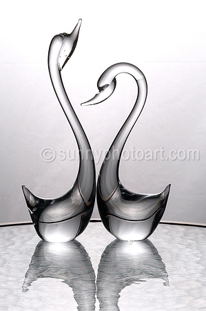 Transparency  -  Glass Study No. 1