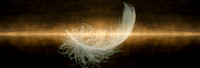 Meditation Series II - Lightness