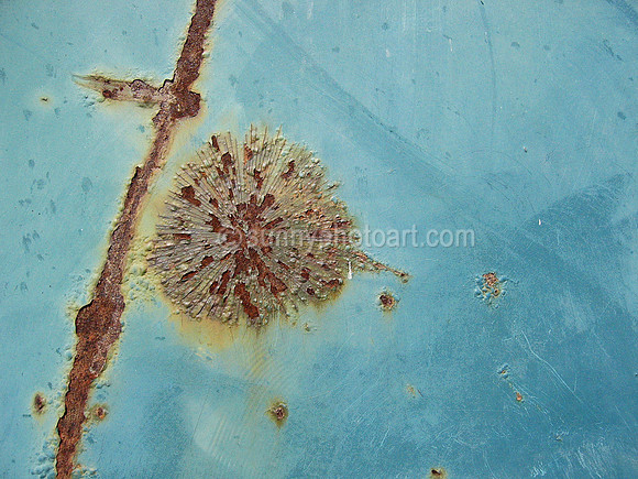 Rust Bloom