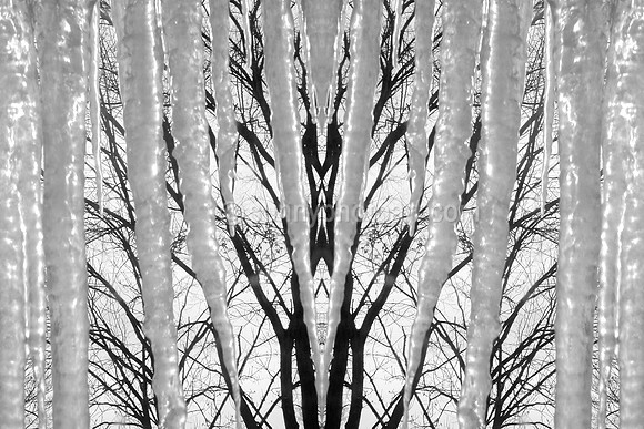 Winter Music