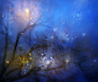 Nocturn No 41