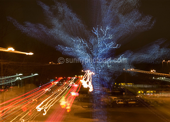 Light Night