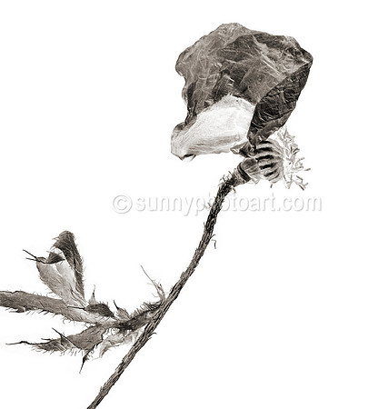 Field Study No. 52