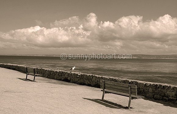 Solitude  No. 1