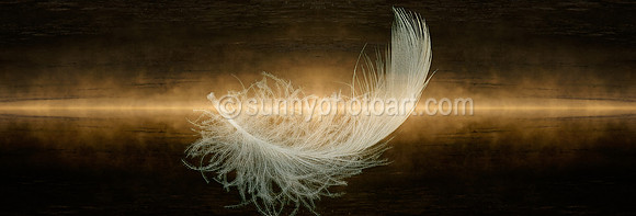 Meditation Series II - Lightness