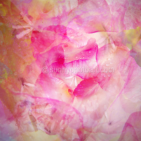 Glads