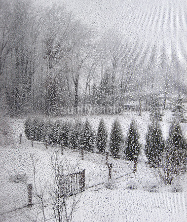 Winter Within the Screen
