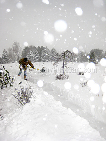 White Holidays