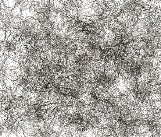 Field Study No. 49
