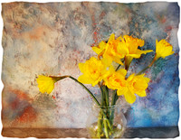 Seven Daffodils