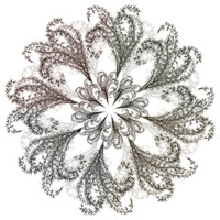 Plate 6