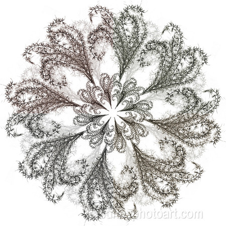Plate 6