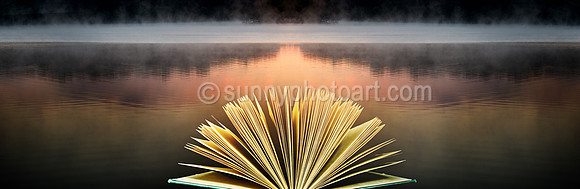 Meditation Series III - Illumination