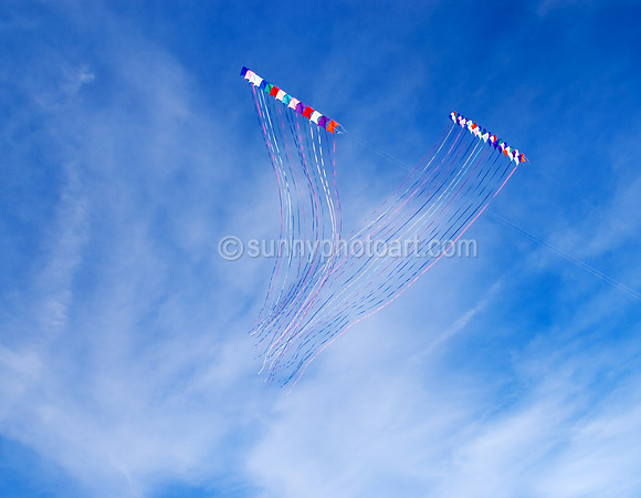 Soaring V