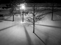 Light in Snowy Night
