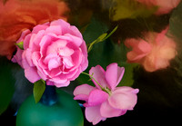 June in a Vase