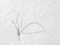 Winter Song III