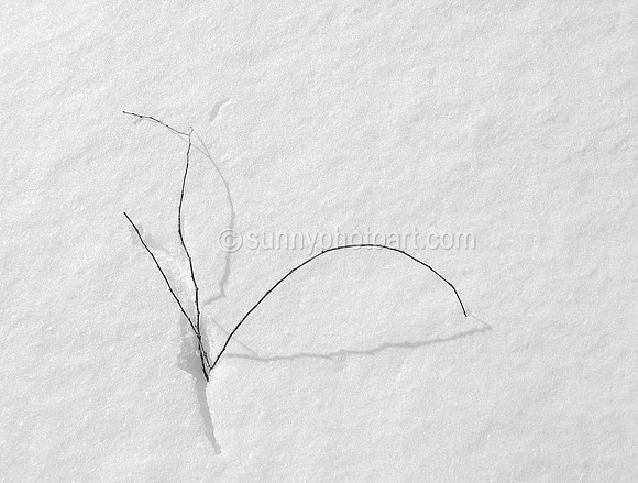 Winter Song III