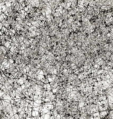 Field Study  No. 74