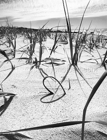Beach Story No. 5